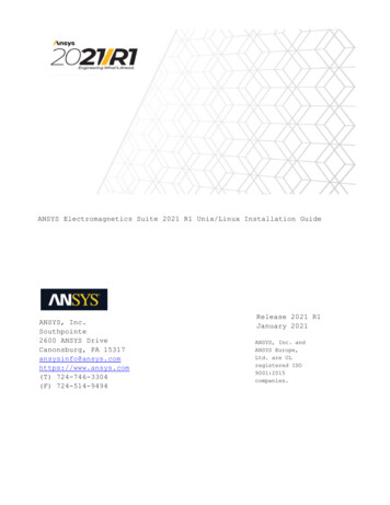 ANSYS Electromagnetics Suite 2021 R1 Unix/Linux .