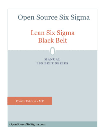 Lean Six Sigma Black Belt