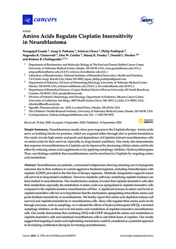 Amino Acids Regulate Cisplatin Insensitivity In Neuroblastoma