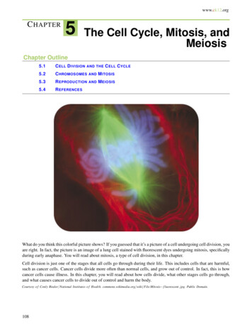 CHAPTER The Cell Cycle, Mitosis, And Meiosis