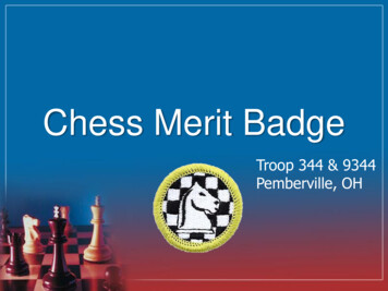 Chess Merit Badge - Bsa344 