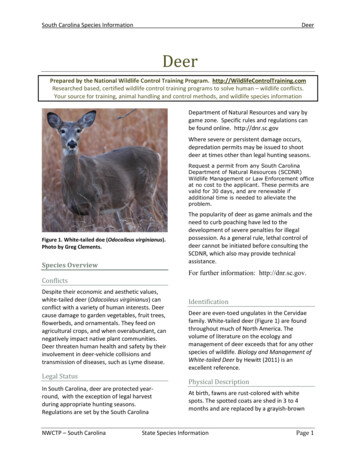 Deer - South Carolina Department Of Natural Resources