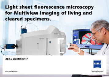 Light Sheet Fluorescence Microscopy For Multiview 
