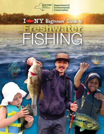 Beginners’ Guide To FISHING