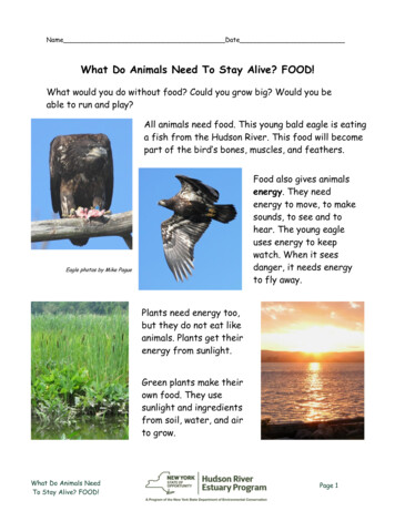 What Do Animals Need To Stay Alive?FOOD!