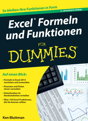 Excel Formeln Und Funktionen Für Dummies – Schummelseite