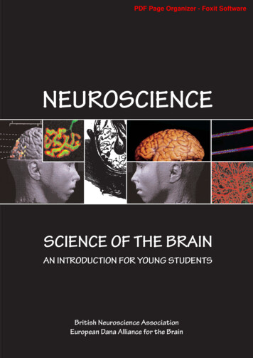 Livro Neuroscience Science Of The Brain