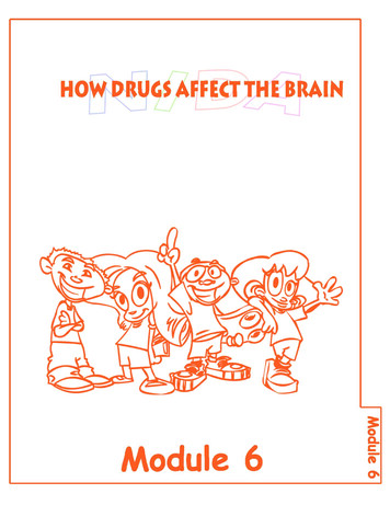 How Drugs Affect The Brain - NIDA For Teens