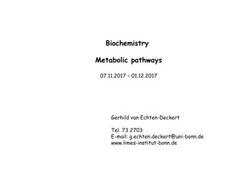 Biochemistry Metabolic Pathways - LIMES-Institut