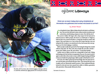 Ojibwe Lifeways