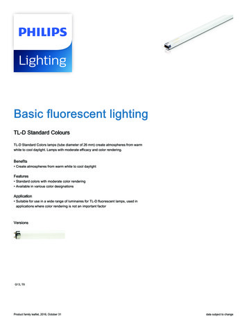 Basic Fluorescent Lighting - SYNERJY