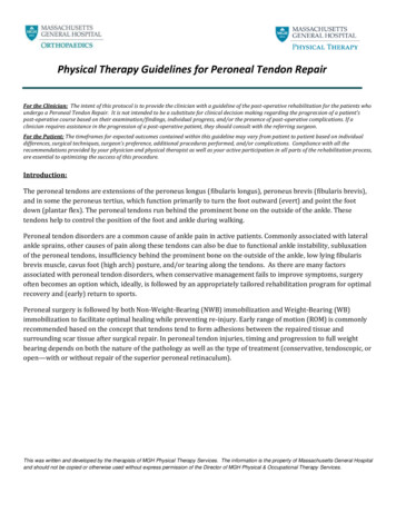 Physical Therapy Guidelines For Peroneal Tendon Repair