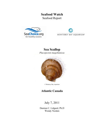 MBA SeafoodWatch CanadianSeaScallop Report 7Jul2011