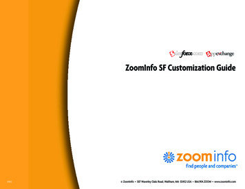 ZoomInfo SF Customization Guide
