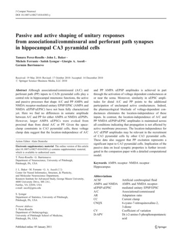 Passive And Active Shaping Of Unitary Responses From .
