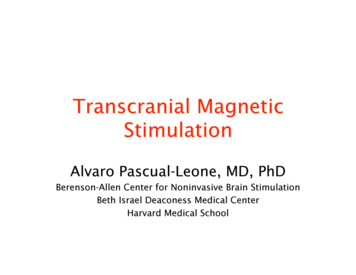 Transcranial Magnetic Stimulation - MRRI