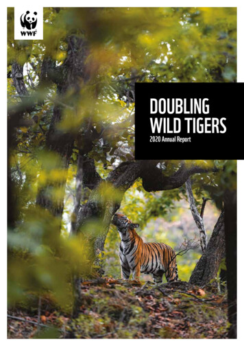 DOUBLING WILD TIGERS