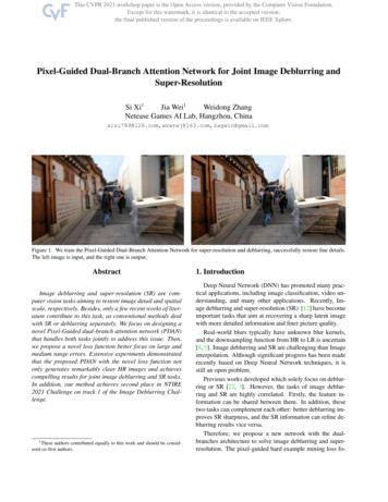 Pixel-Guided Dual-Branch Attention Network For Joint Image .