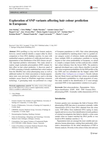 Exploration Of SNP Variants Affecting Hair Colour Prediction In Europeans
