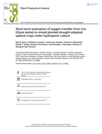 Short-term Evaluation Of Oxygen Transfer From Rice (Oryza .