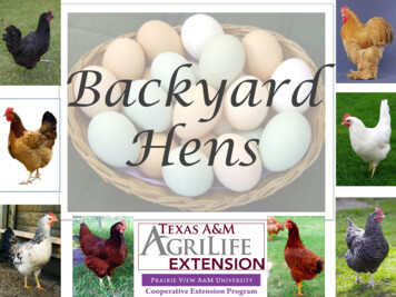Backyard Basics Chickens - Texas A&M University