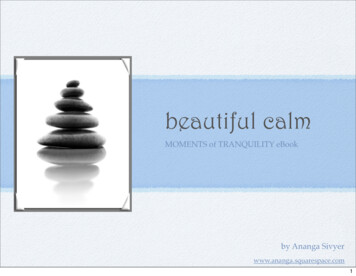 Beautiful Calm - Trans4mind