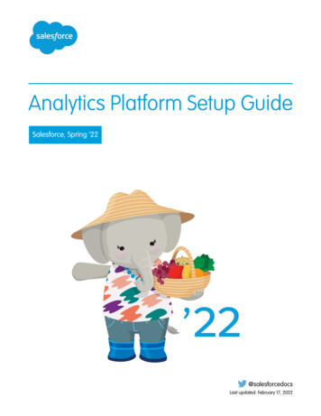 Analytics Platform Setup Guide
