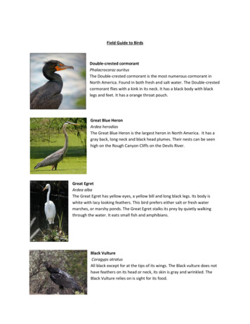 Bird Field Guide - National Park Service