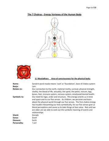 The 7 Chakras - Energy Vortexes Of The Human Body