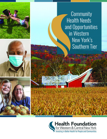 Community Health Needs And Opportunities In Western New York's Southern .