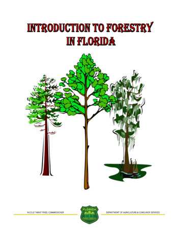 INTRODUCTION TO FORESTRY