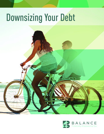 Downsizing Your Debt - Balance PRO