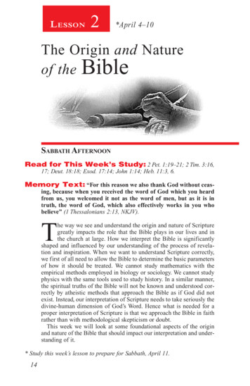 The Origin And Bible - Adult Bible Study Guide