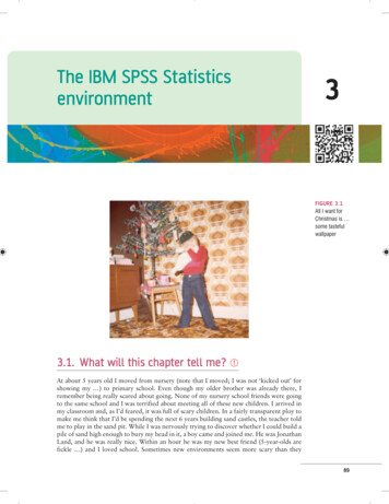 The IBM SPSS Statistics 3 Environment - Online Resources