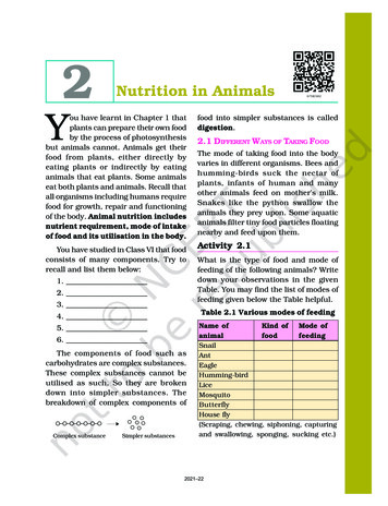 Nutrition In Animals Y