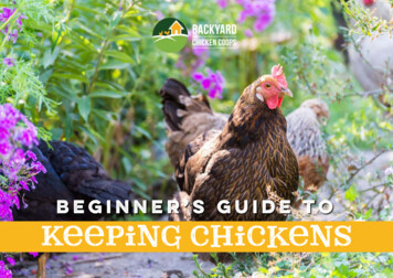 Beginner’s Guide To Keeping Chickens