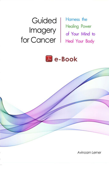 Guided Imagery For Cancer Patients - Avinoamlerner 