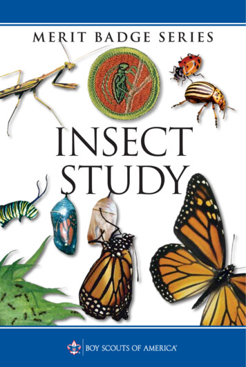 InSEcT STudY