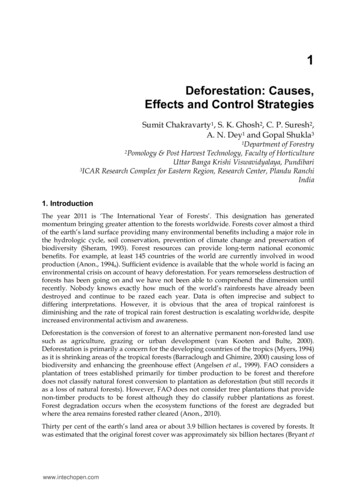 Deforestation: Causes, Effects And Control Strategies