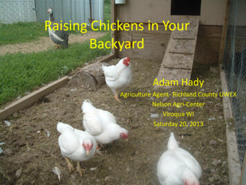 Raising Chickens In Your Backyard