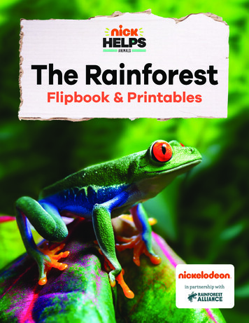 The Rainforest Flipbook & Printables