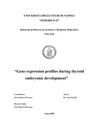 Gene Expression Profiles During Thyroid Embryonic Development