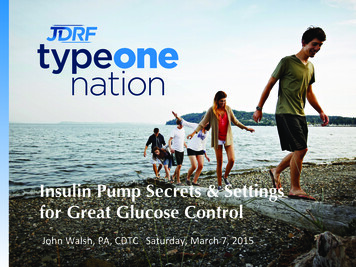 Insulin Pump Secrets & Settings For Great Glucose Control