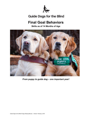 Final Goal Behaviors - Guide Dogs For The Blind