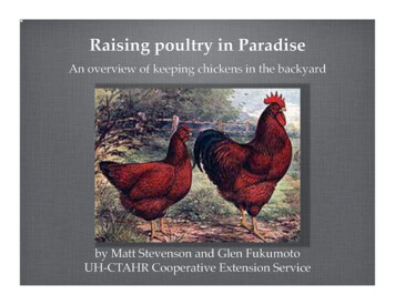 Raising Poultry In Paradise - Take Me To Manoa