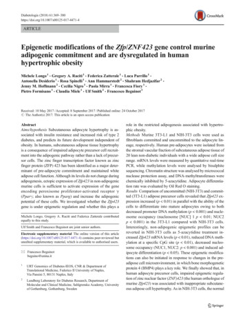 Epigenetic Modifications Of The Zfp/ZNF423 Gene Control .