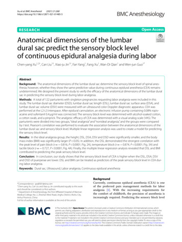 Anatomical Dimensions Of The Lumbar Dural Sac Predict The Sensory Block .