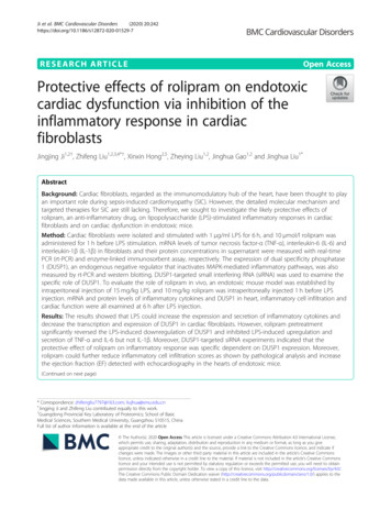 Protective Effects Of Rolipram On Endotoxic Cardiac .