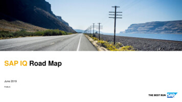 SAP IQ Road Map - Mibdima.cz