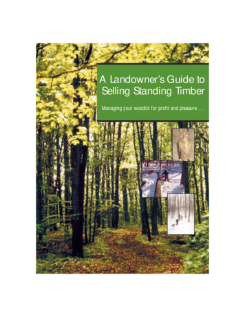 A Landowner’s Guide To Selling Standing Timber